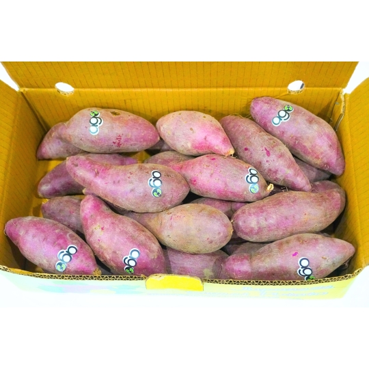 Khoai Lang Nhật