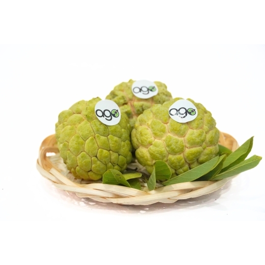 Na