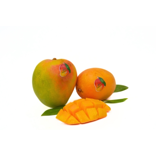 Xoài