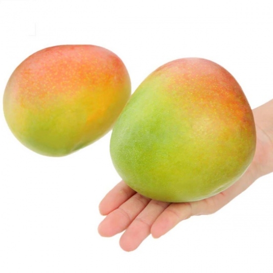 Xoài