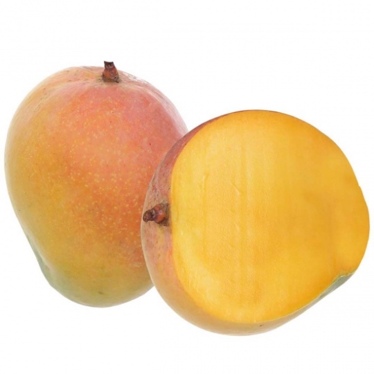 Xoài