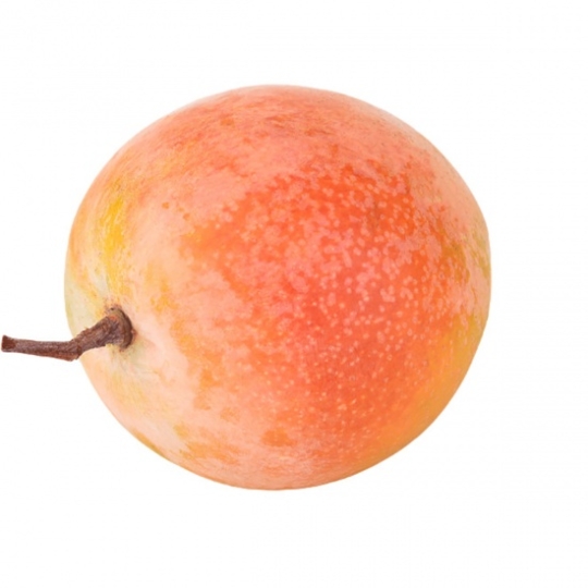 Xoài